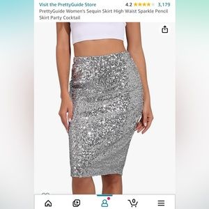 Silver Sequined Pencil Skirt Medium